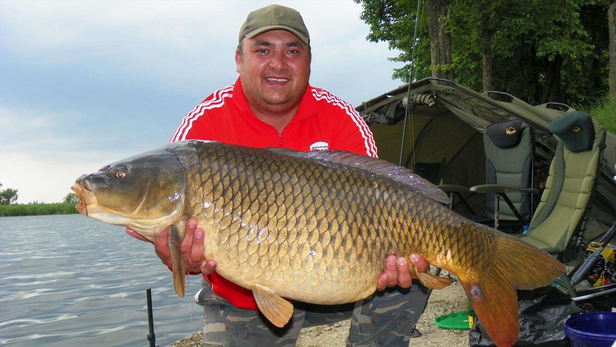 Crapmania (3) - 2011 - 1001639.JPG